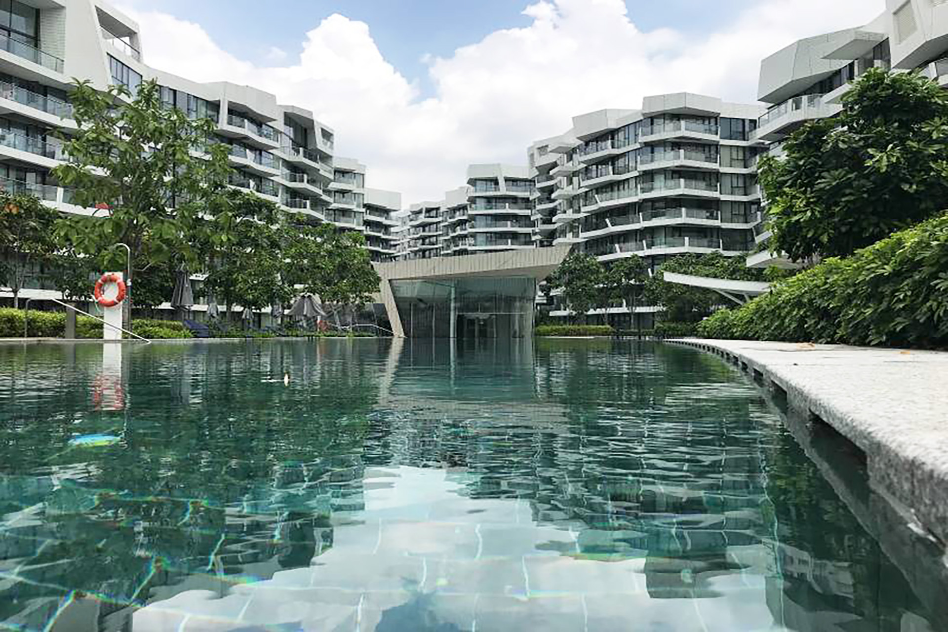 Corals at Keppel Bay Penthouse pool